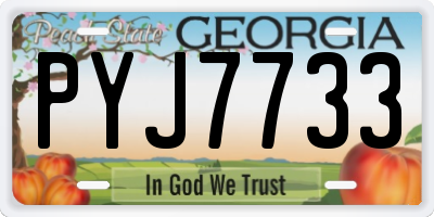 GA license plate PYJ7733