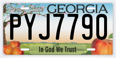 GA license plate PYJ7790