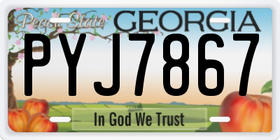 GA license plate PYJ7867