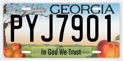 GA license plate PYJ7901
