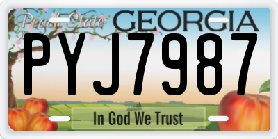 GA license plate PYJ7987