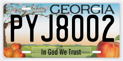 GA license plate PYJ8002