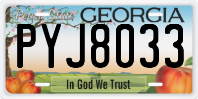 GA license plate PYJ8033