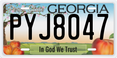 GA license plate PYJ8047