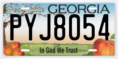 GA license plate PYJ8054
