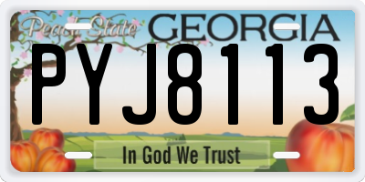 GA license plate PYJ8113
