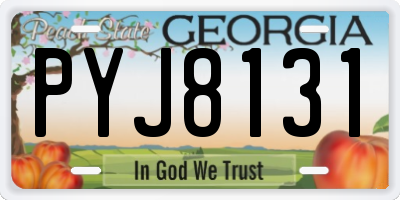 GA license plate PYJ8131