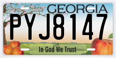 GA license plate PYJ8147