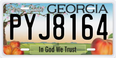 GA license plate PYJ8164