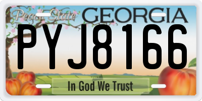 GA license plate PYJ8166