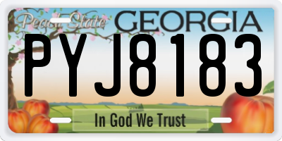 GA license plate PYJ8183