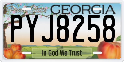 GA license plate PYJ8258