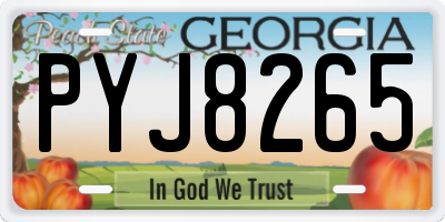 GA license plate PYJ8265
