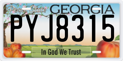 GA license plate PYJ8315