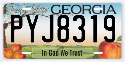 GA license plate PYJ8319