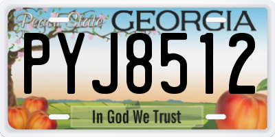 GA license plate PYJ8512