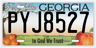 GA license plate PYJ8527