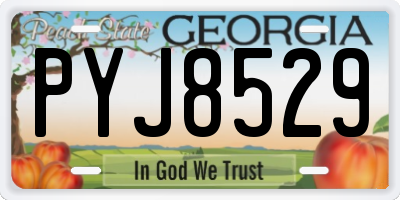GA license plate PYJ8529
