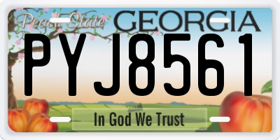 GA license plate PYJ8561