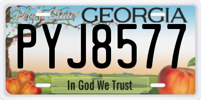GA license plate PYJ8577