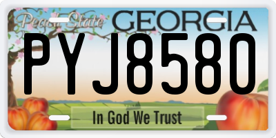 GA license plate PYJ8580
