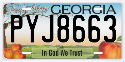 GA license plate PYJ8663