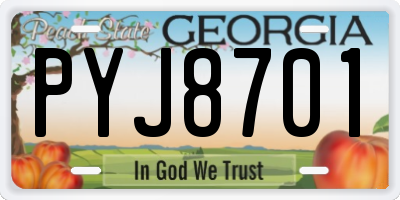 GA license plate PYJ8701