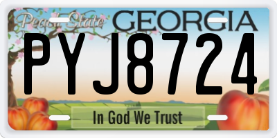 GA license plate PYJ8724