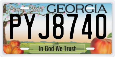 GA license plate PYJ8740