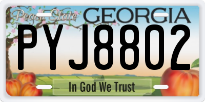 GA license plate PYJ8802