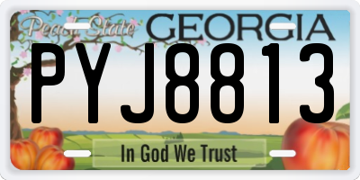 GA license plate PYJ8813