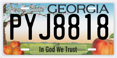 GA license plate PYJ8818