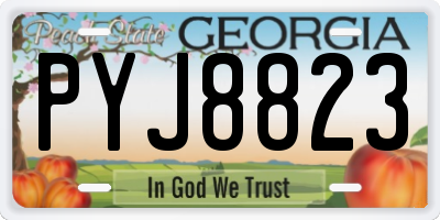 GA license plate PYJ8823