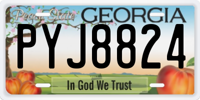 GA license plate PYJ8824