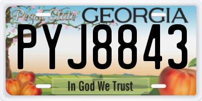 GA license plate PYJ8843