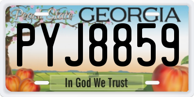 GA license plate PYJ8859