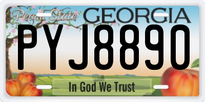 GA license plate PYJ8890
