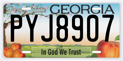 GA license plate PYJ8907