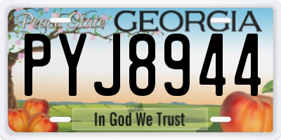GA license plate PYJ8944