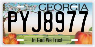 GA license plate PYJ8977