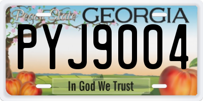 GA license plate PYJ9004