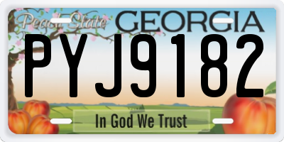 GA license plate PYJ9182