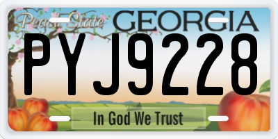 GA license plate PYJ9228