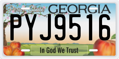 GA license plate PYJ9516
