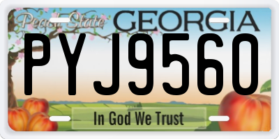 GA license plate PYJ9560