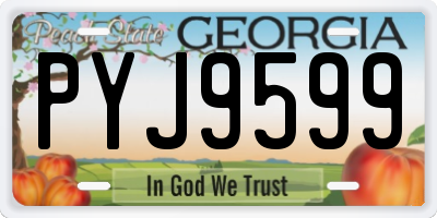 GA license plate PYJ9599