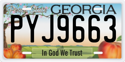 GA license plate PYJ9663
