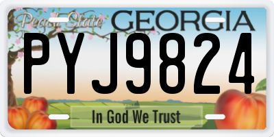 GA license plate PYJ9824