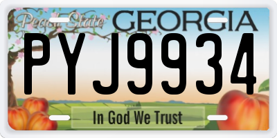 GA license plate PYJ9934