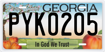 GA license plate PYK0205